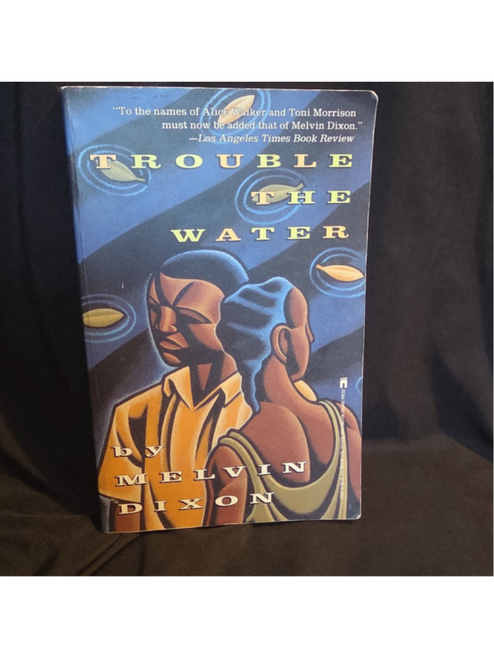 Trouble with Water Paperback Melvin Dixon